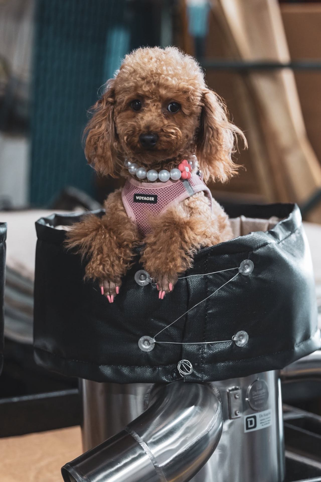 Shop Mascot on a Turbo Blanket
